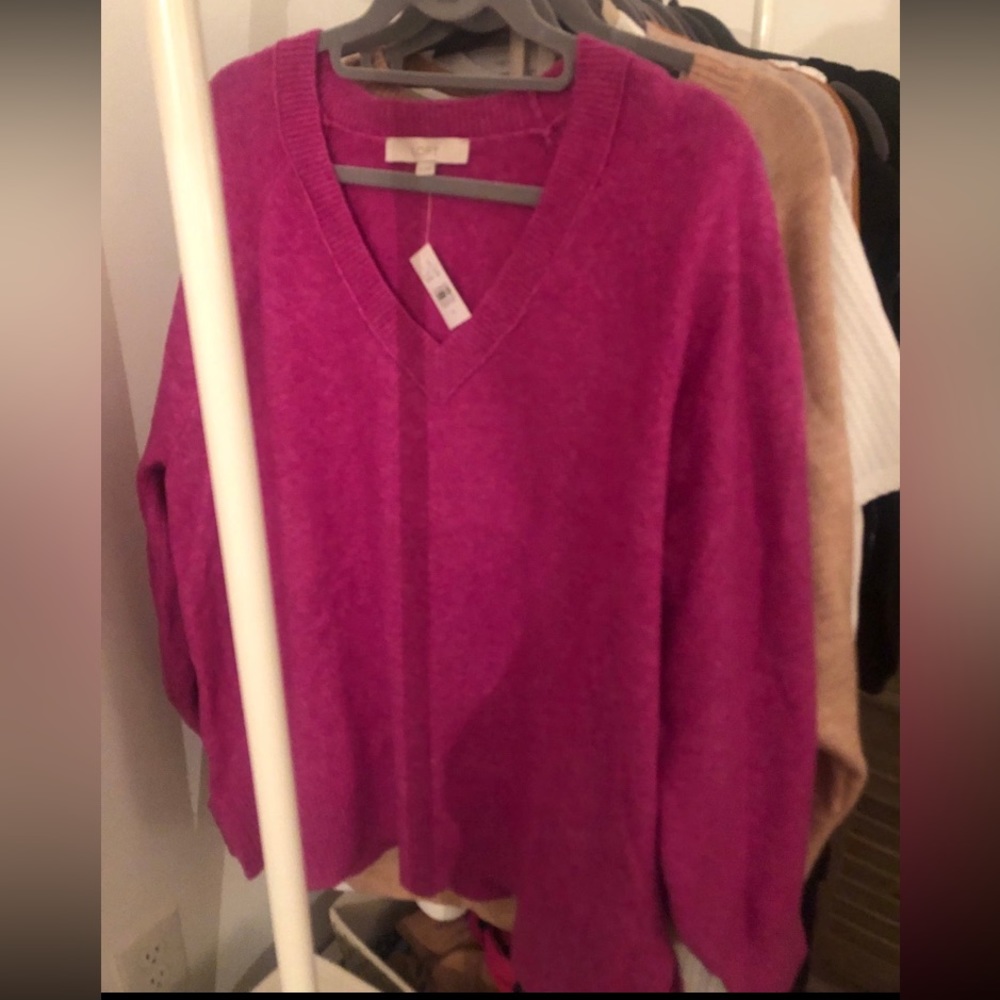 Loft sweater